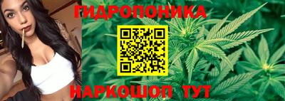 МДПВ Будённовск