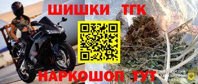 МДПВ Будённовск