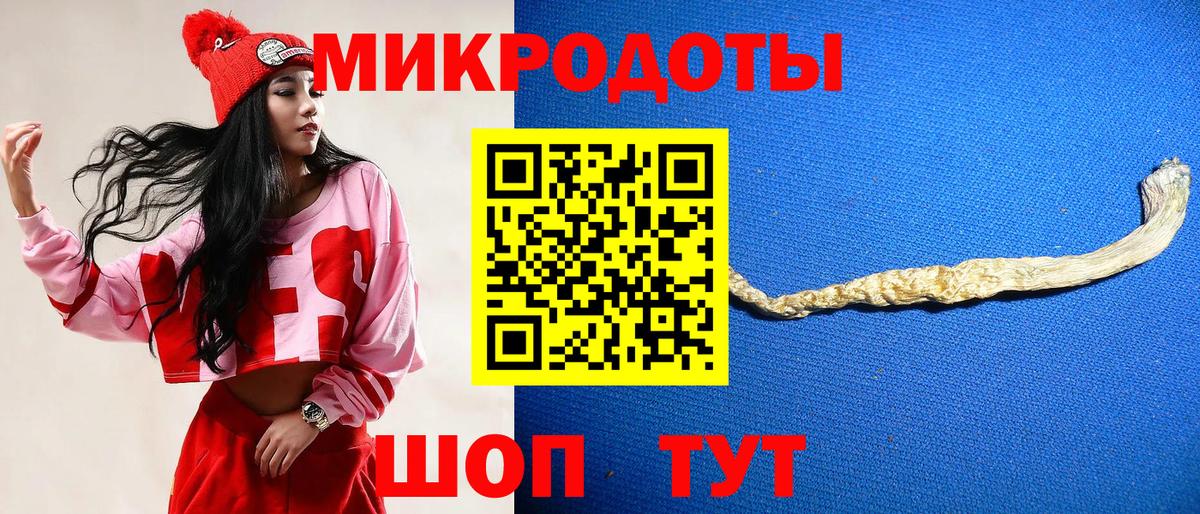 Галлюциногенные грибы прущие грибы Губкинский