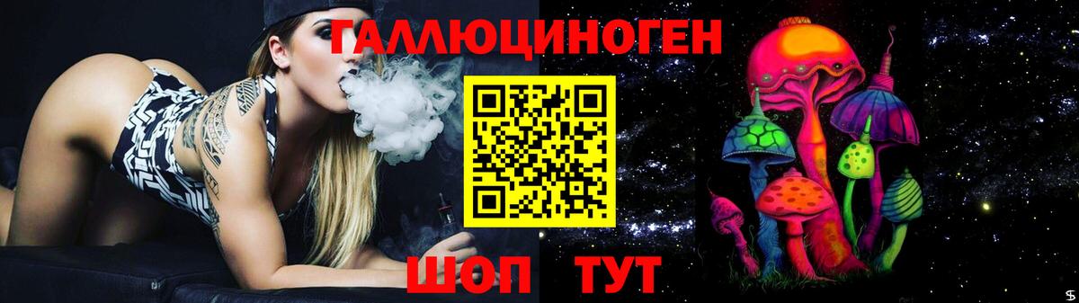 Галлюциногенные грибы Psilocybe  Вход с VPN  Губкинский 
